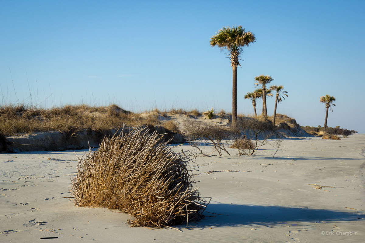 Landscapes Eric Champlin Photographer, Writer